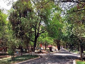 Kunming - Universite du Yunnan (46)